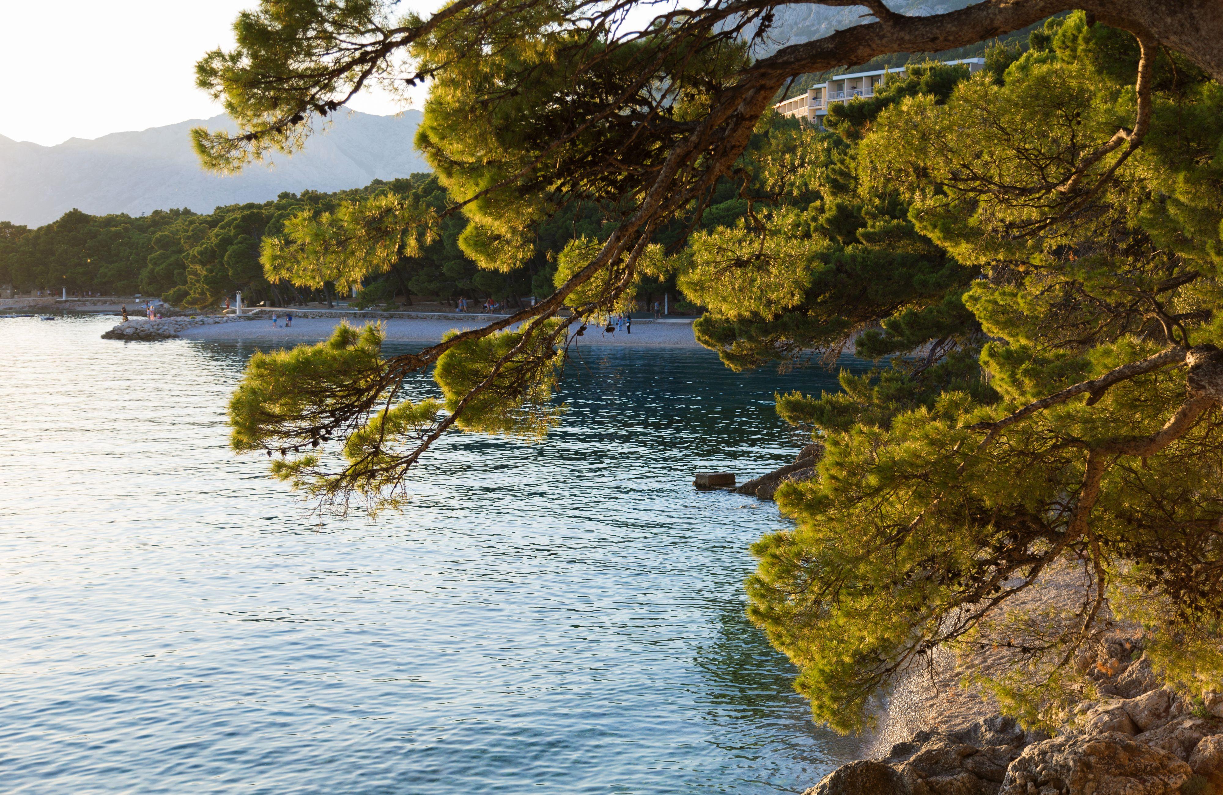 Bluesun Hotel Soline Brela Dış mekan fotoğraf
